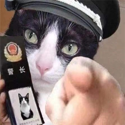 A complete collection of funny expressions of the kitty policeman. Dont come close, you will go to jail.