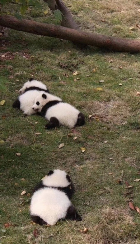 QQ皮肤-质感又很高级的好看气质风壁纸 高清质感的气质好看皮肤大全(2)