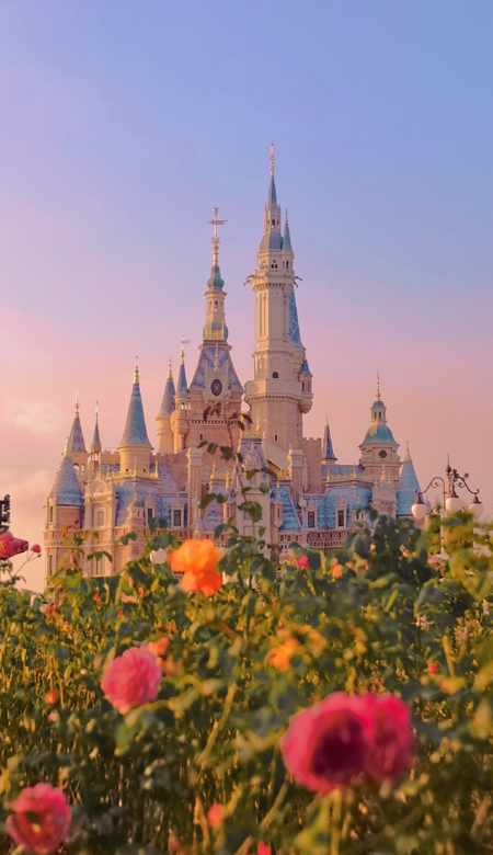 Disney Wallpaper HD Full Screen 2021 Super Romantic I Will Have No Other Wishes But Loving You