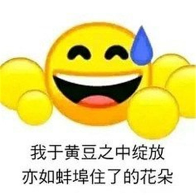 About the collection of speechless funny chat emoticons. The latest popular chat emoticons.