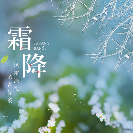 Beautiful and good-looking pictures of the Frost's Descent in 2021. Good-looking materials for posting on WeChat Moments during the Frost's Descent.