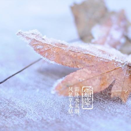 Beautiful and good-looking pictures of the Frost's Descent in 2021. Good-looking materials for posting on WeChat Moments during the Frost's Descent.