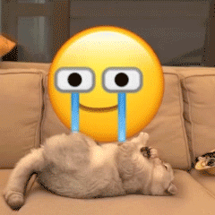 The latest collection of super magical gif chat emoticons. Cute gif expressions of kitten rolling emoji.