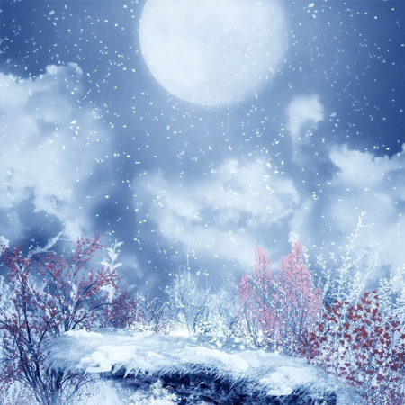 Super beautiful and beautiful snow background picture. Between the moonlight and the snow, you are the third stunning color.