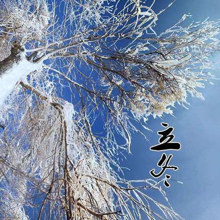 The beautiful and beautiful 2021 Beginning of Winter background picture. A mouthful of dumplings to fill your mouth and an empty can of warmth to welcome the Beginning of Winter.