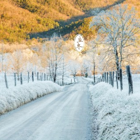 The beautiful and beautiful 2021 Beginning of Winter background picture. A mouthful of dumplings to fill your mouth and an empty can of warmth to welcome the Beginning of Winter.