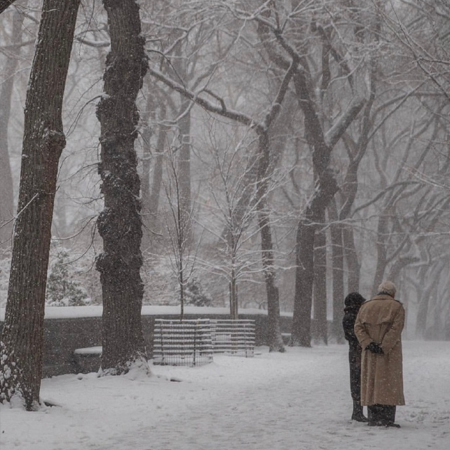 2021 Very romantic and real winter snow scene pictures Waiting after hard work is called letting nature take its course