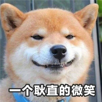 Funny Shiba Inu I wont go series chat emoticons I wont go I wont go chat emoticons