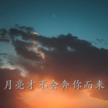 2021 Xiaohongshus super popular sad pictures of mourning The moon will not come to you