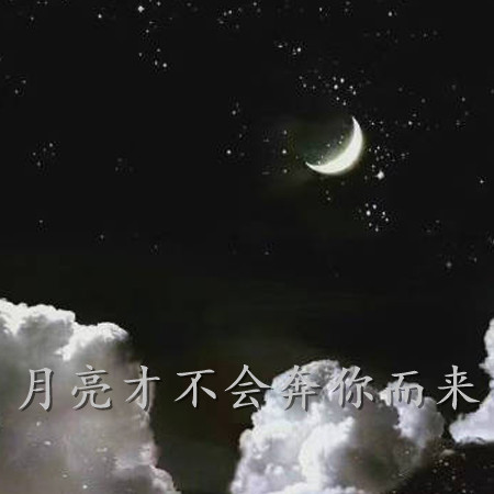 2021 Xiaohongshus super popular sad pictures of mourning The moon will not come to you