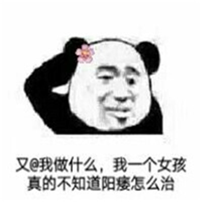 The latest Jin Curators panda head is super funny and a very popular classic WeChat chat emoticon