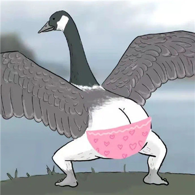 The coquettish big goose kicks butt emoticon. I have a big butt and kicks me first.