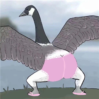 The coquettish big goose kicks butt emoticon. I have a big butt and kicks me first.