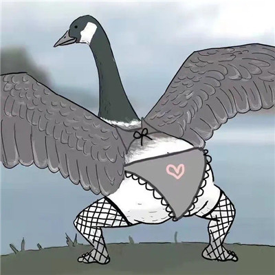 The coquettish big goose kicks butt emoticon. I have a big butt and kicks me first.