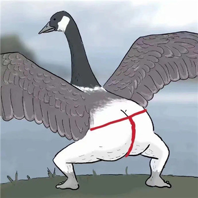 The coquettish big goose kicks butt emoticon. I have a big butt and kicks me first.