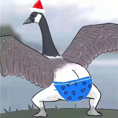 The coquettish big goose kicks butt emoticon. I have a big butt and kicks me first.