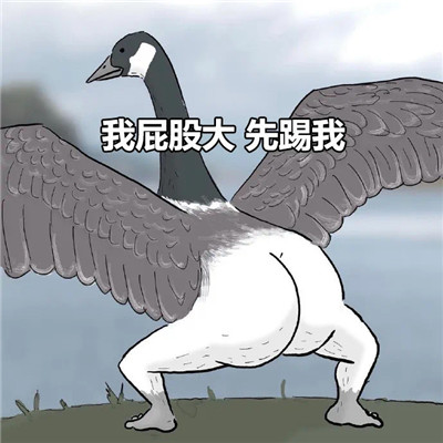 The coquettish big goose kicks butt emoticon. I have a big butt and kicks me first.