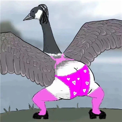 The coquettish big goose kicks butt emoticon. I have a big butt and kicks me first.