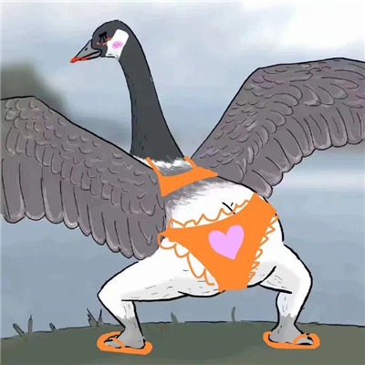 The coquettish big goose kicks butt emoticon. I have a big butt and kicks me first.