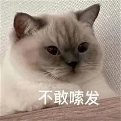 A chat emoticon that shows you are in a bad mood and is angry. The most irritable person in China