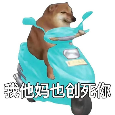 The colorful expression of the dog riding a bicycle is super funny. A collection of very funny expressions that make you laugh to death.