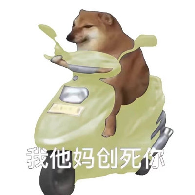The colorful expression of the dog riding a bicycle is super funny. A collection of very funny expressions that make you laugh to death.