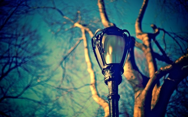 Shy and introverted people are like slow-loading web pages. Beautiful and fresh pictures of retro street lamps.