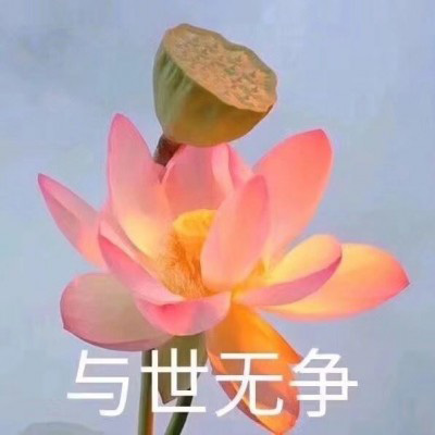 佛系头像莲花，微信佛系佛教意境图片大全