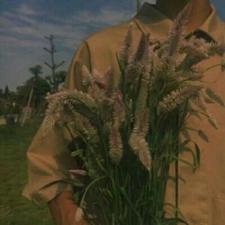 Parts of boys' avatar, forest style bouquet