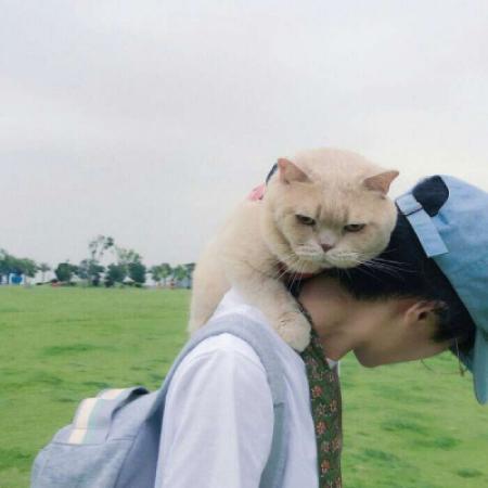 Avatar of boy and cat