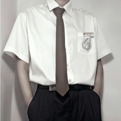 Parts avatar of handsome guy in school uniform