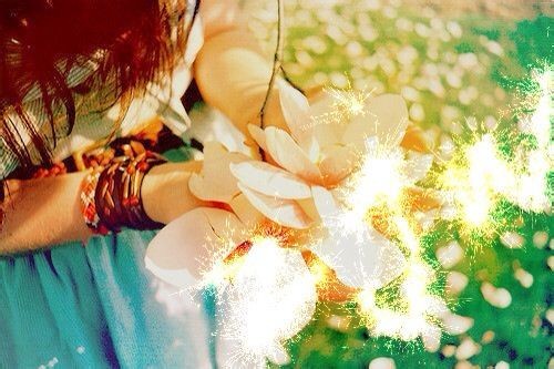 The happiest moment of holding flowers in the palm of your hand, beautiful pictures of flowers