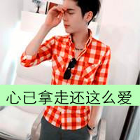 Handsome plaid boys avatar pictures with words