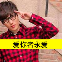 Handsome plaid boys avatar pictures with words