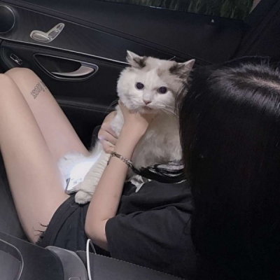 高清好看的女头猫咪头像图片