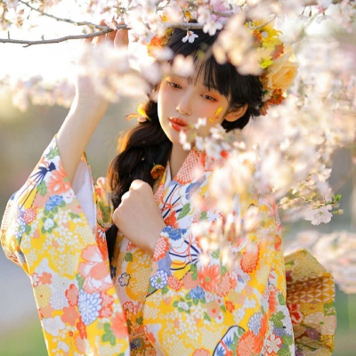 高清唯美的日系女生樱花和服头像图片