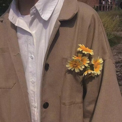 High-definition literary and artistic half-body pictures of boys holding flowers