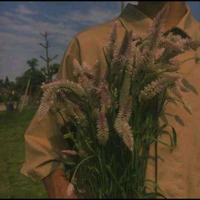 Boy's avatar half body holding flowers