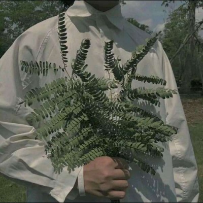 Boy's avatar half body holding flowers