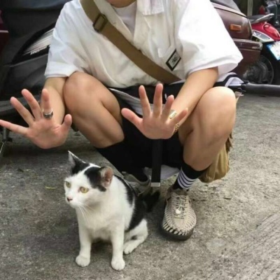 QQ boy's avatar holding small animals