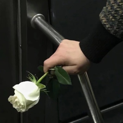 Male head holding flowers in hand