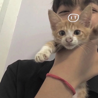 High Definition avatar picture of a handsome boy holding a cat in his arms