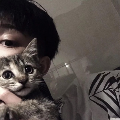 High Definition avatar picture of a handsome boy holding a cat in his arms