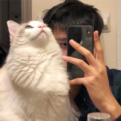 High Definition avatar picture of a handsome boy holding a cat in his arms