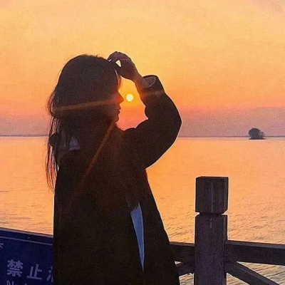 High-definition beautiful profile picture of female head at sunset