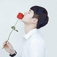 A complete collection of QQ avatar pictures of boys holding roses in hand