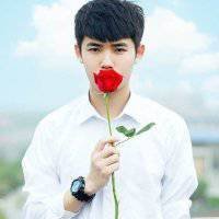 A complete collection of QQ avatar pictures of boys holding roses in hand