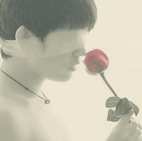 A complete collection of QQ avatar pictures of boys holding roses in hand