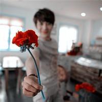 A complete collection of QQ avatar pictures of boys holding roses in hand