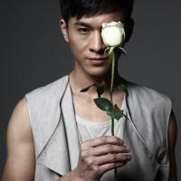 A complete collection of QQ avatar pictures of boys holding roses in hand